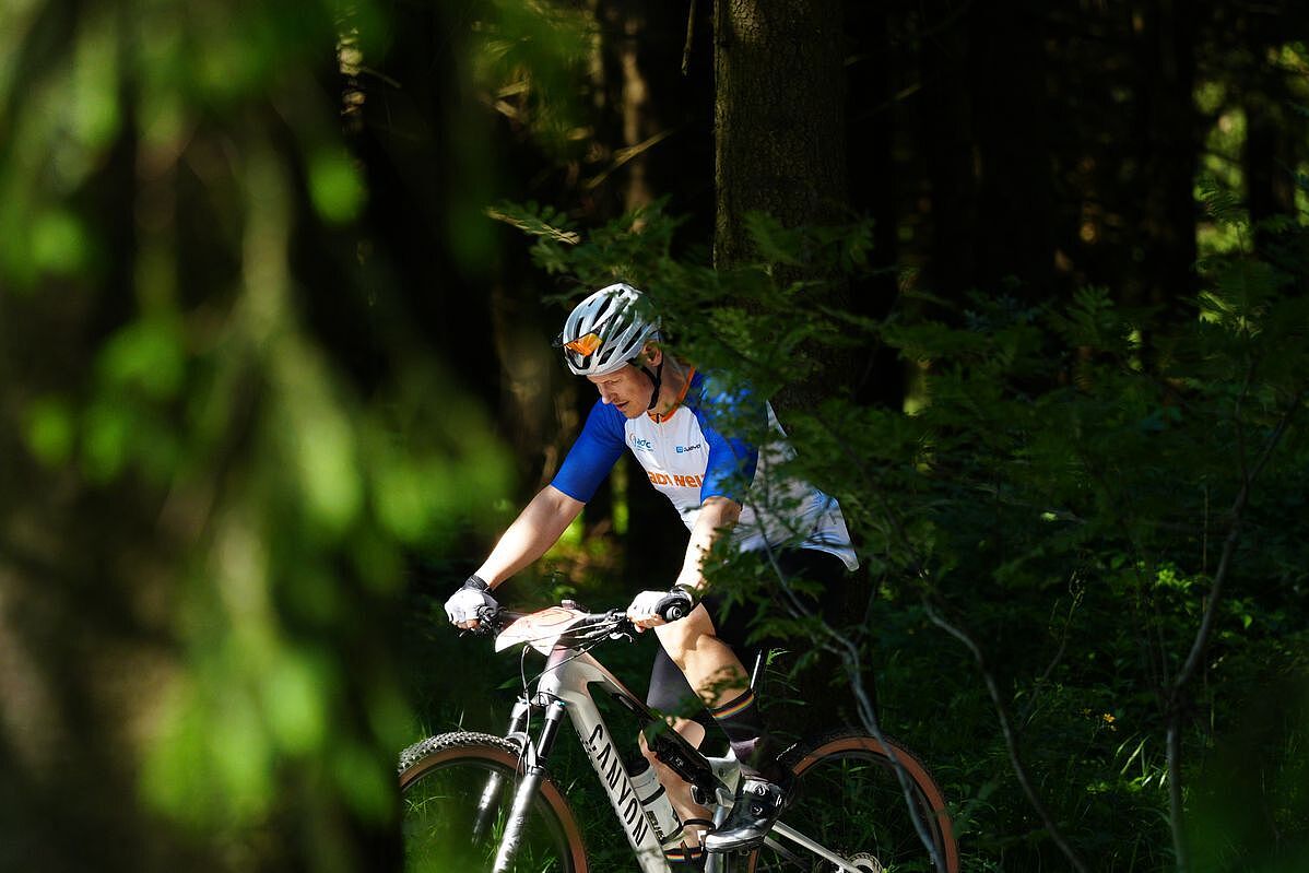 Ein von der Sonne beschienener Mountainbiker in der Bildmitte, eingerahmt von Vegetation. 