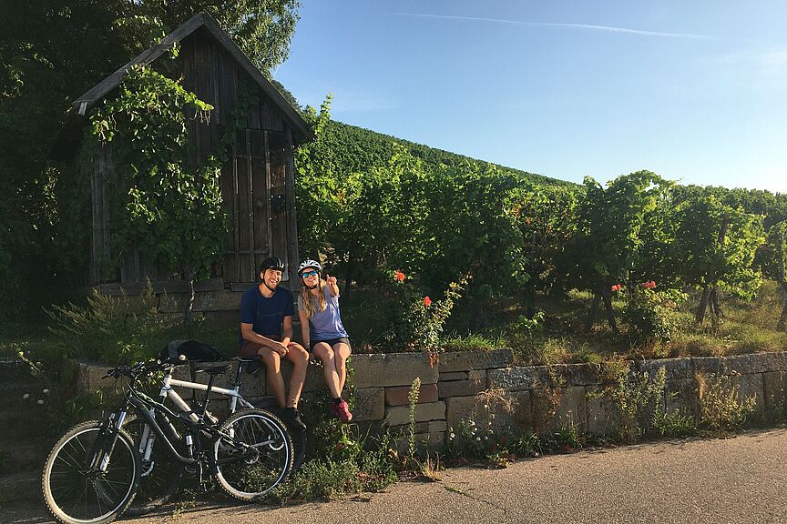 ADFC-Qualitätsradroute mit vier Sternen: Württemberger Weinradweg. ADFC-Qualitätsradroute mit vier Sternen: Württemberger Weinradweg.